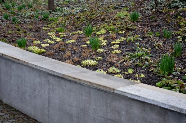 Concrete Wall Construction in Lake Charles