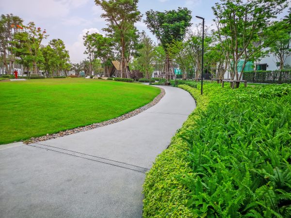 Cement Walkway Service in Lake Charles