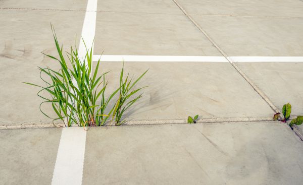 Concrete Parking Installation in Lake Charles